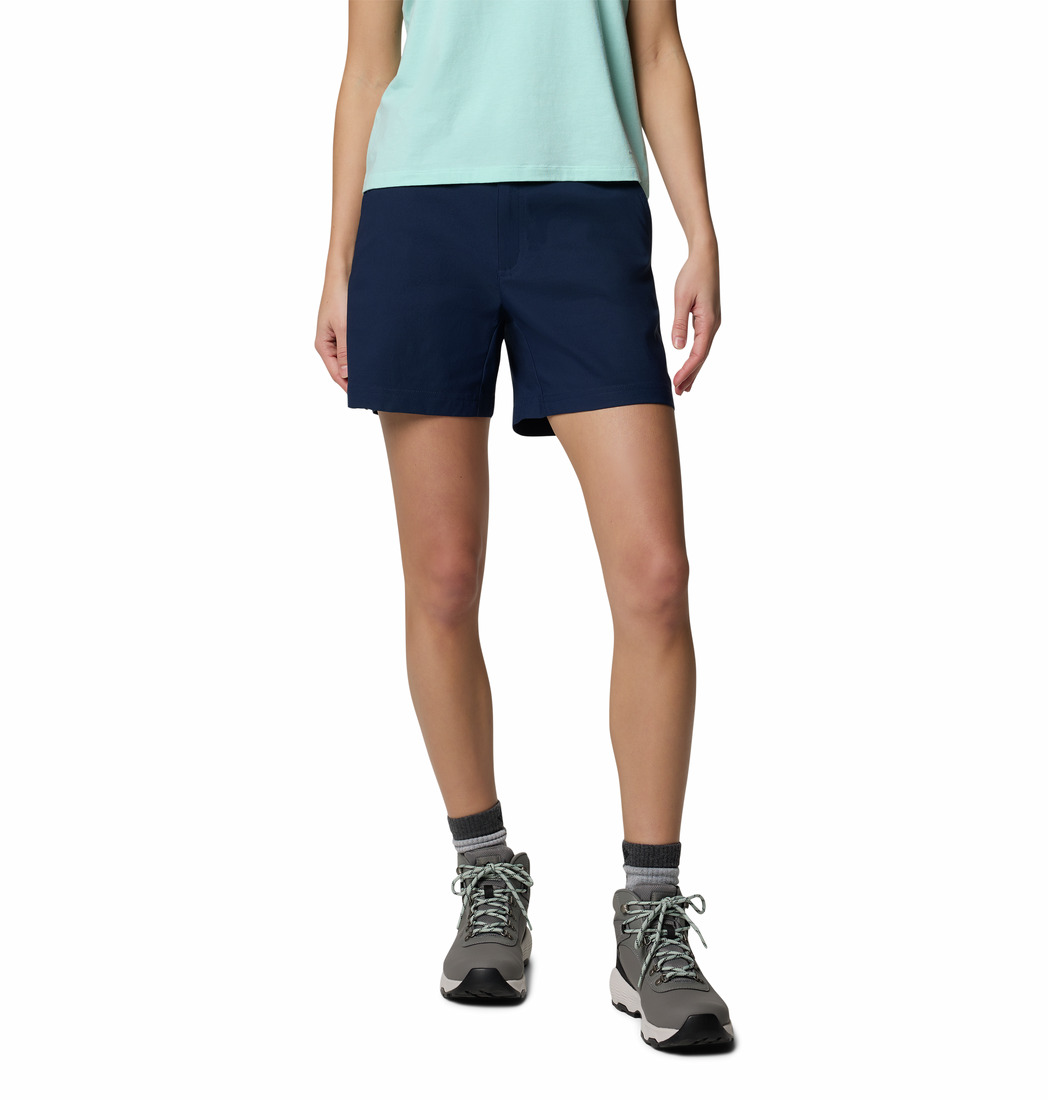 PFG Lacivert