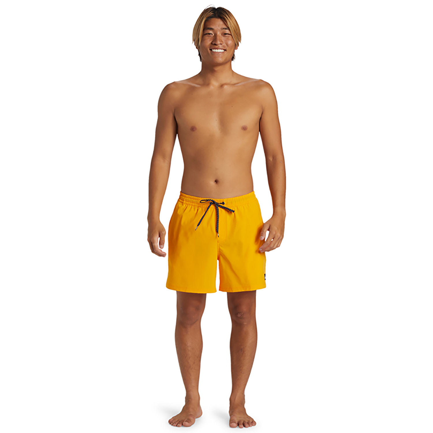 Quiksilver Surfsilk Solid Volley 16 Erkek Deniz Şortu