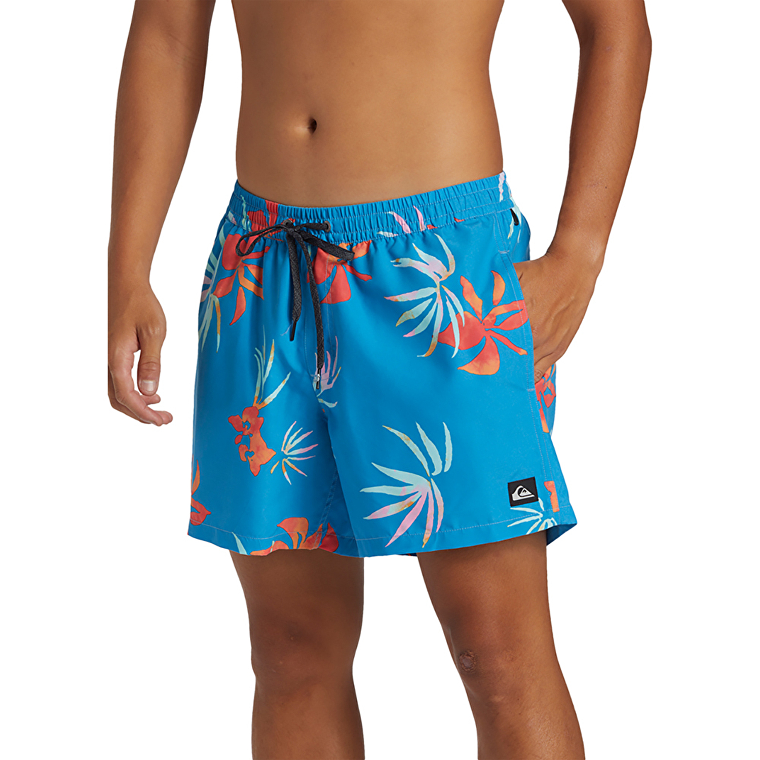 Quiksilver Everyday Mix Volley 15 Erkek Deniz Şortu