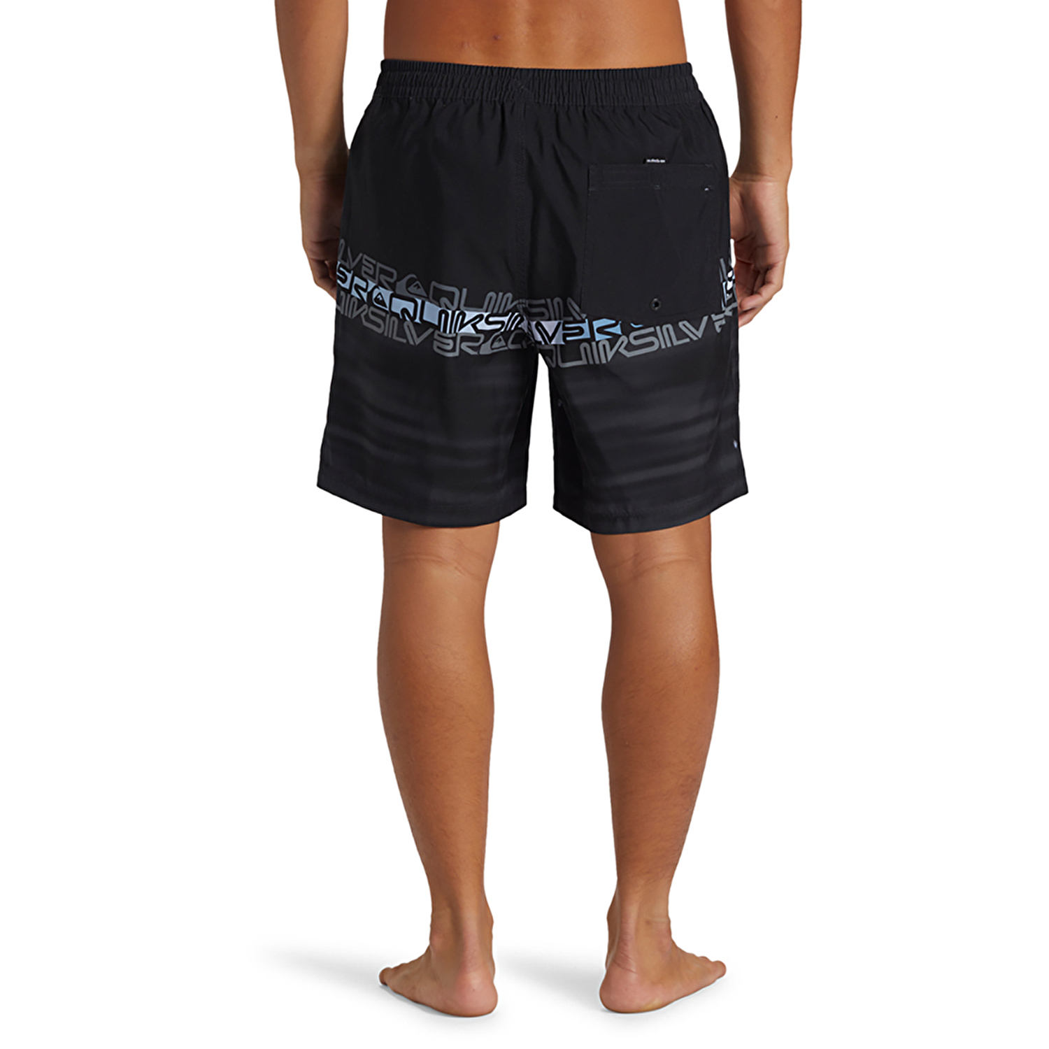 Quiksilver Everyday Wordblock Volley 17 Erkek Deniz Şortu