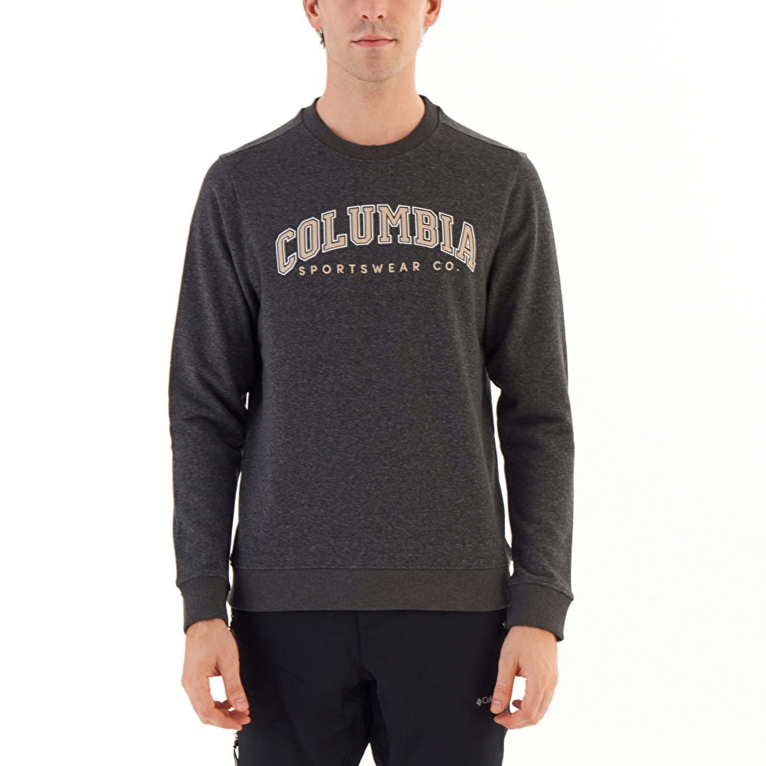 CSC College Logo Erkek Sweatshirt