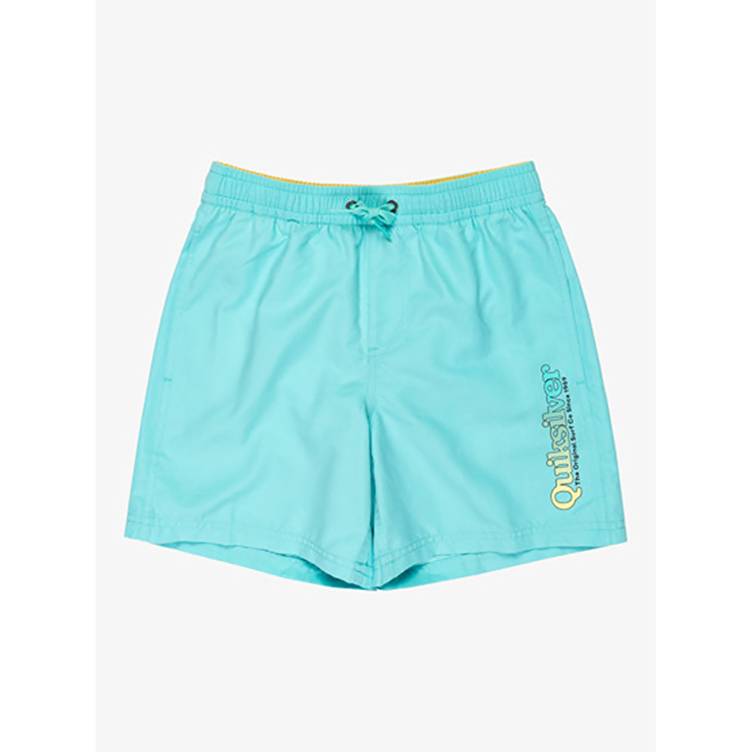 Quiksilver Spl Fineline Volley 14 Çocuk Deniz Şortu