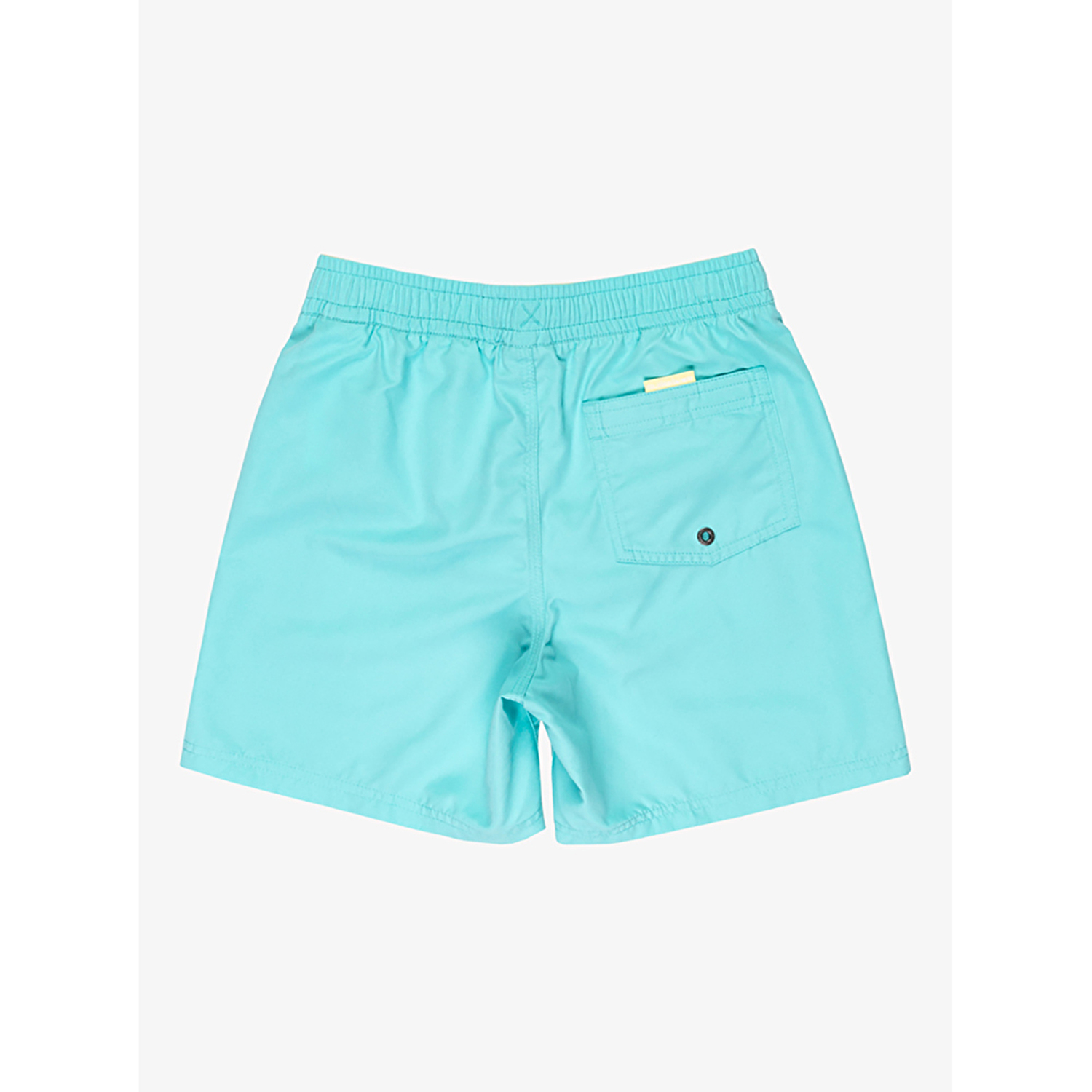 Quiksilver Spl Fineline Volley 14 Çocuk Deniz Şortu