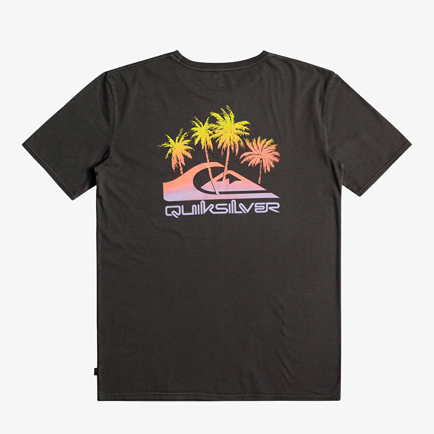 Quiksilver Pastimeparadise Erkek Kısa Kollu T-Shirt
