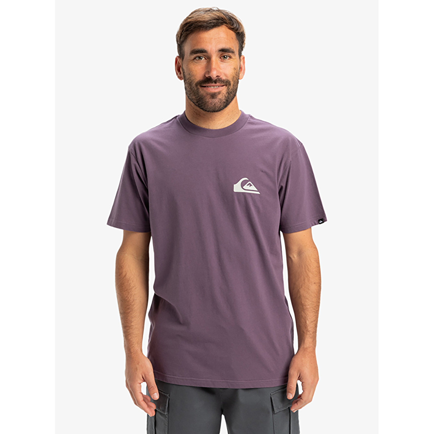 Quiksilver Ev Mini Logo Erkek Kısa Kollu T-Shirt