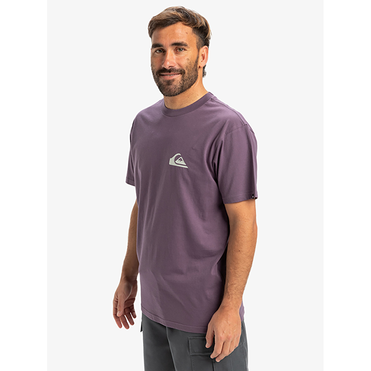 Quiksilver Ev Mini Logo Erkek Kısa Kollu T-Shirt