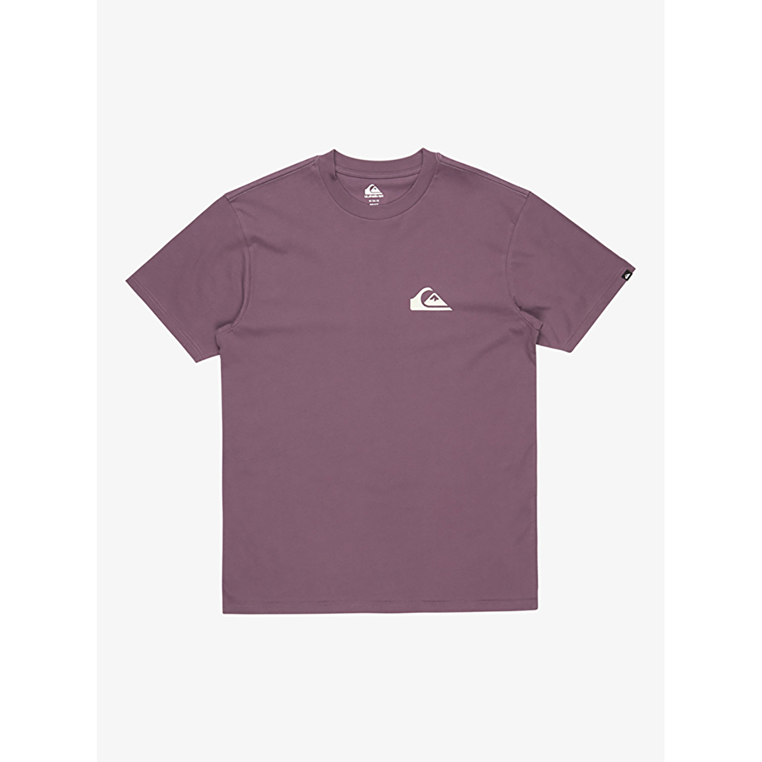 Quiksilver Ev Mini Logo Erkek Kısa Kollu T-Shirt