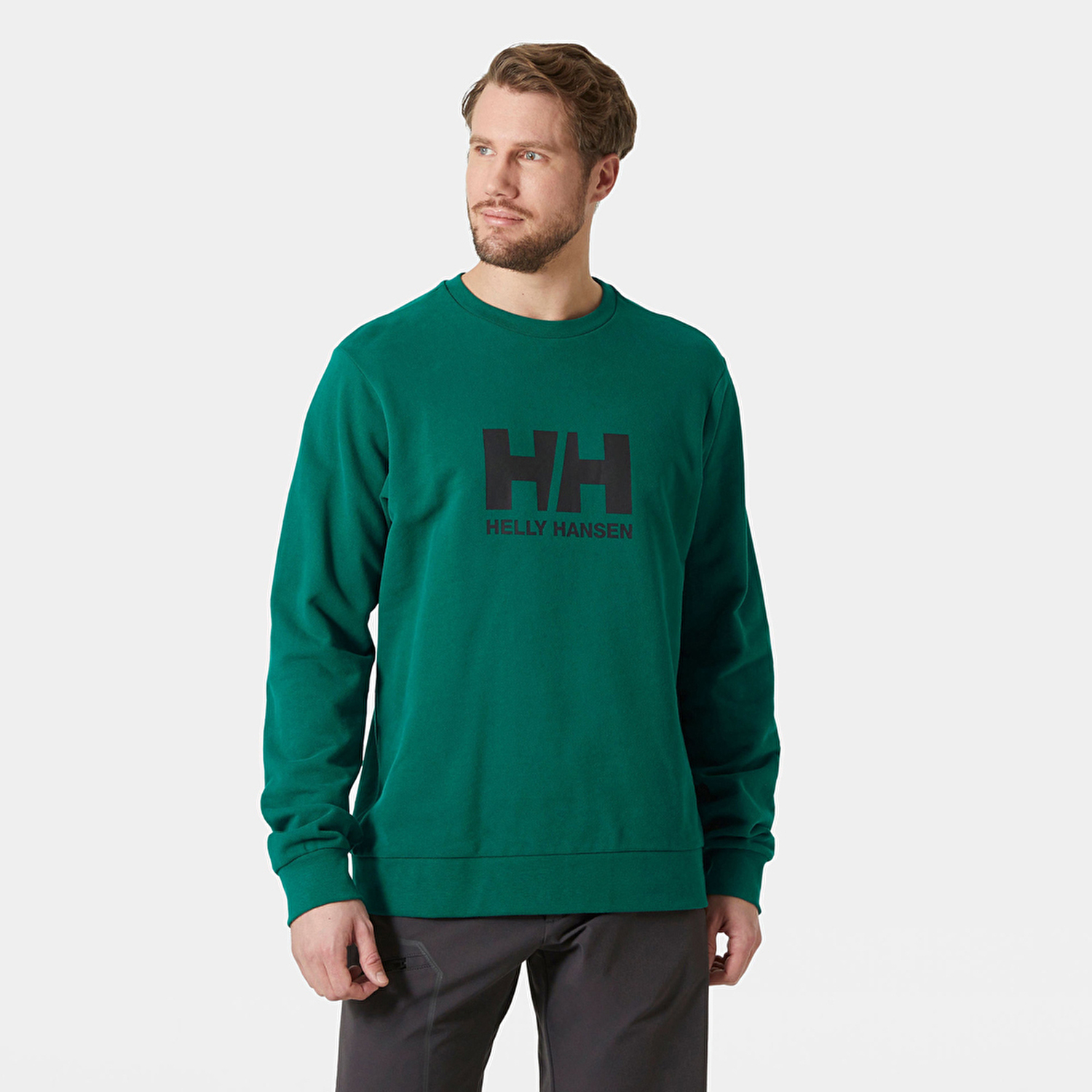 Helly Hansen HH Logo Crew 2.0 Erkek Sweatshirt