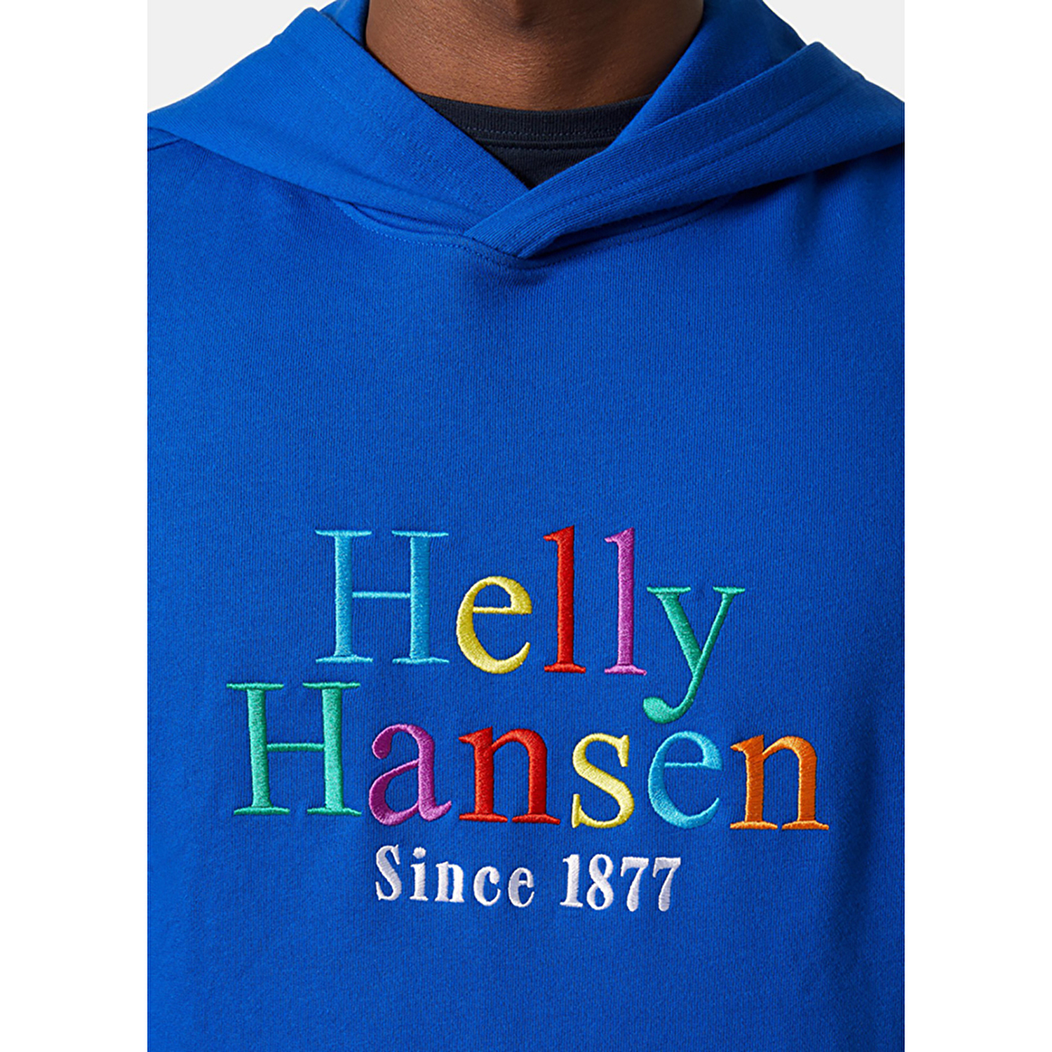 Helly Hansen Core Graphic Erkek Kapüşonlu Sweatshirt