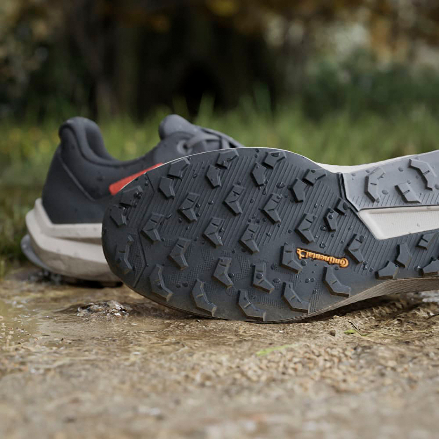 Adidas Terrex Trailrider GTX Erkek Patika Koşu Ayakkabısı