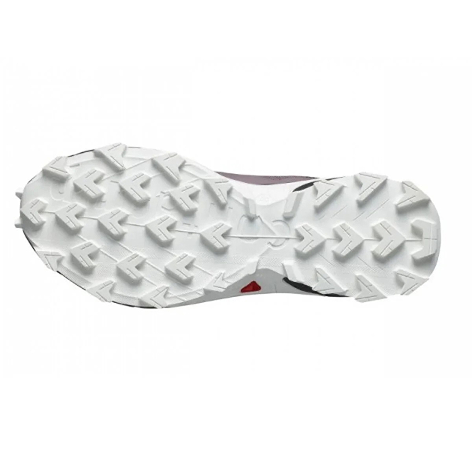 Salomon Alphacross 5 Gtx Kadın Patika Koşu Ayakkabısı