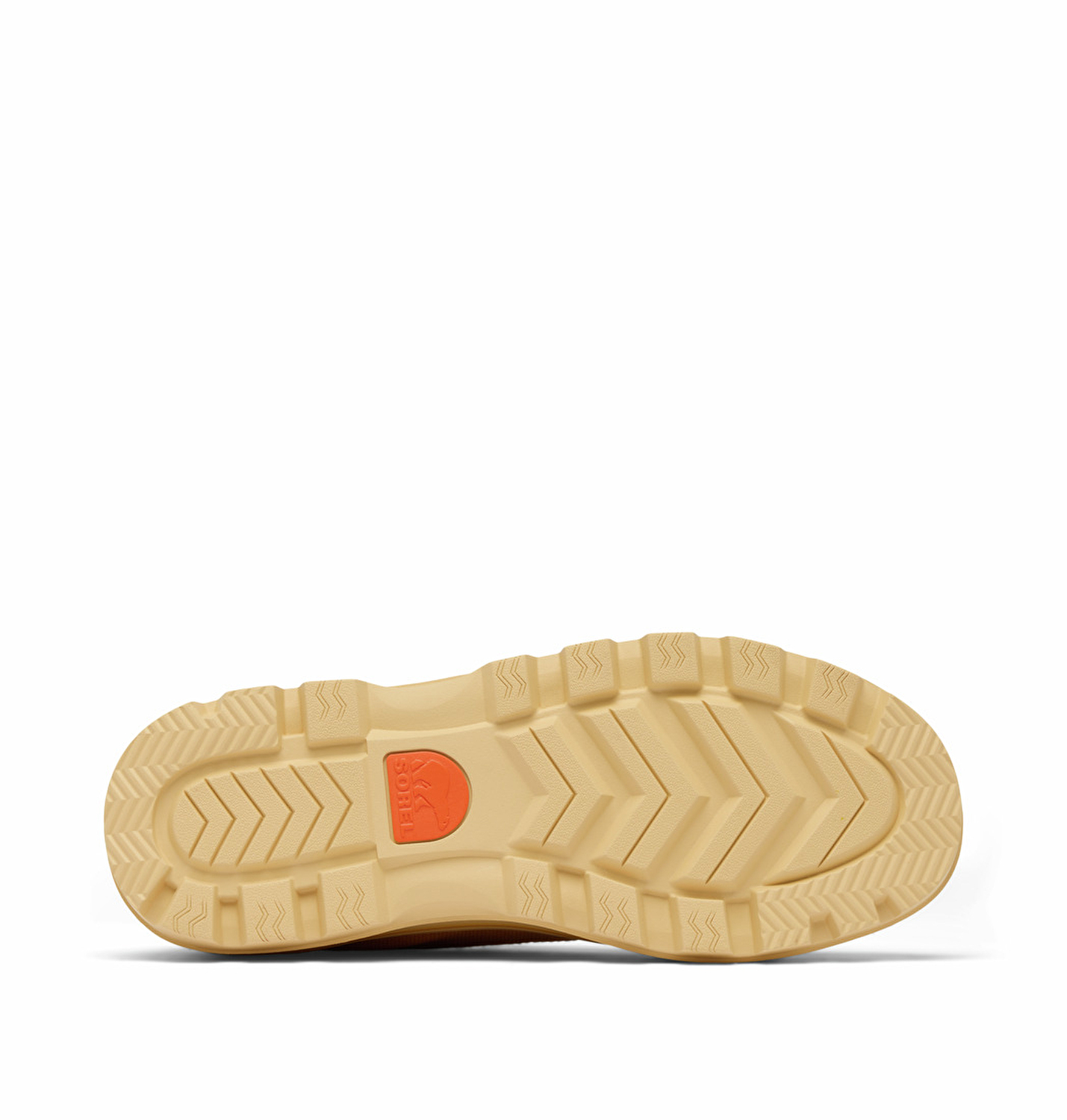 Scout N About Low Kadın Sneaker
