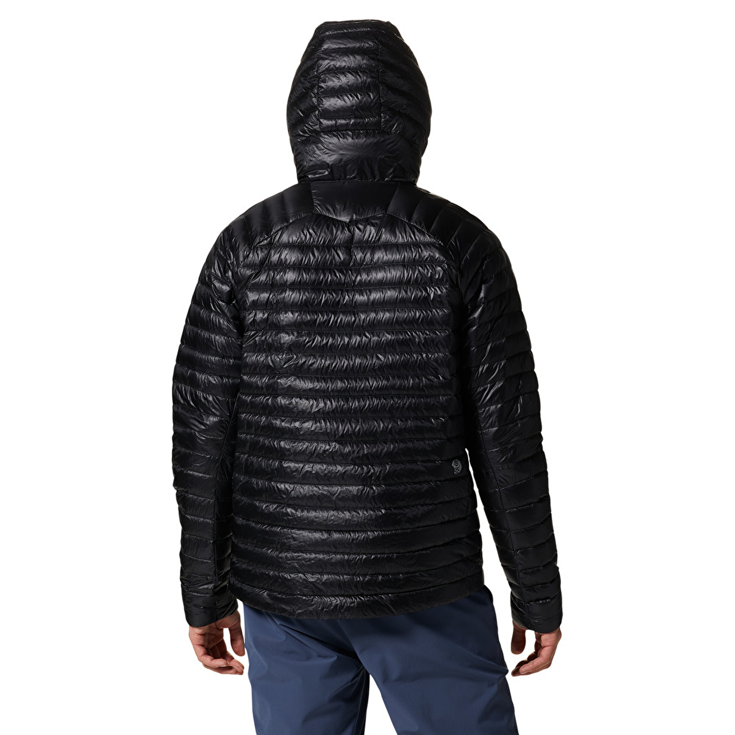 Ghost Whisperer/2 Hoody Erkek Kaz Tüyü Mont