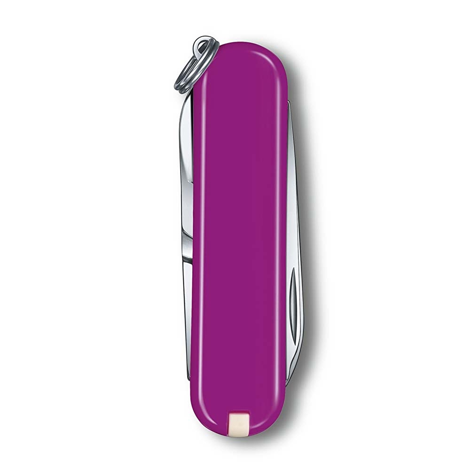 Victorinox Çakı Classic Tasty Grape Mor Kutuda