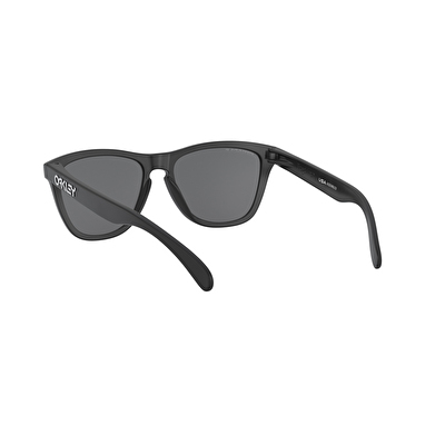 Oakley Frogskins Erkek Güneş Gözlüğü