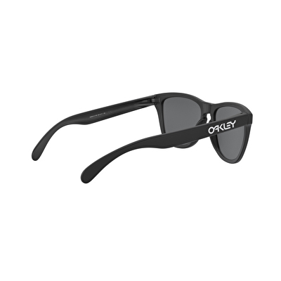 Oakley Frogskins Erkek Güneş Gözlüğü