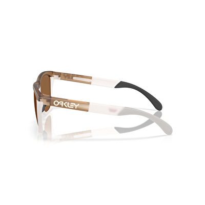 Oakley Frogskins Range Erkek Güneş Gözlüğü