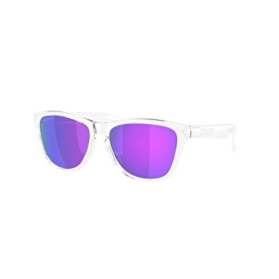 Oakley Frogskins S Erkek Güneş Gözlüğü