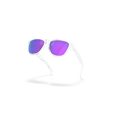 Oakley Frogskins S Erkek Güneş Gözlüğü
