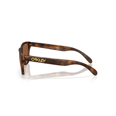 Oakley Frogskins S Erkek Güneş Gözlüğü