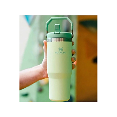 Stanley 0.89L The Iceflow Pipetli Termos Bardak