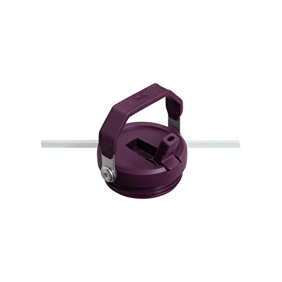 Stanley 0.89L The Iceflow Pipetli Termos Bardak