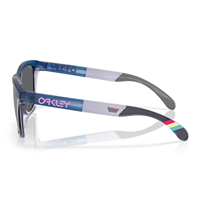 Oakley Frogskins Range Erkek Güneş Gözlüğü