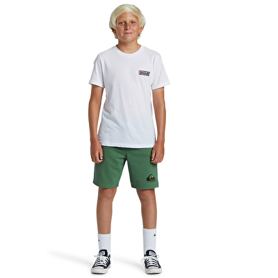 Quiksilver Easy Day  Çocuk Şort