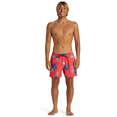 Quiksilver Everyday Mix Volley 15 Erkek Deniz Şortu