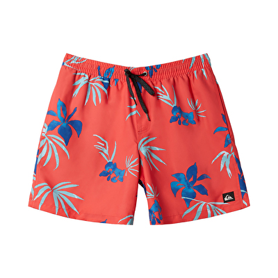 Quiksilver Everyday Mix Volley 15 Erkek Deniz Şortu