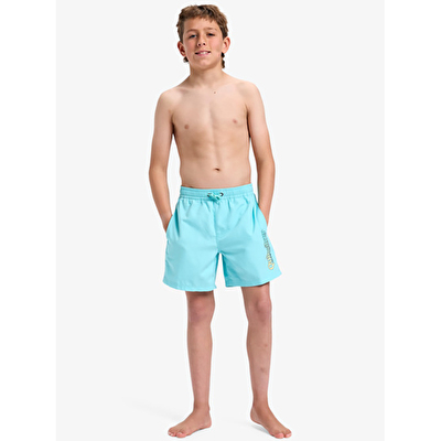 Quiksilver Spl Fineline Volley 14 Çocuk Deniz Şortu