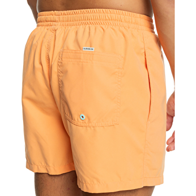 Quiksilver Behind Waves Erkek Deniz Şortu