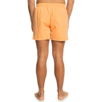 Quiksilver Behind Waves Erkek Deniz Şortu