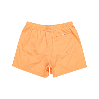 Quiksilver Behind Waves Erkek Deniz Şortu