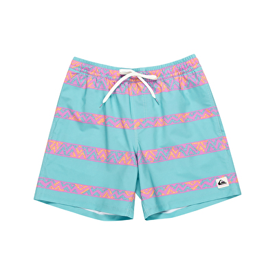 Quiksilver Take Us Back Vl 17 Erkek Deniz Şortu