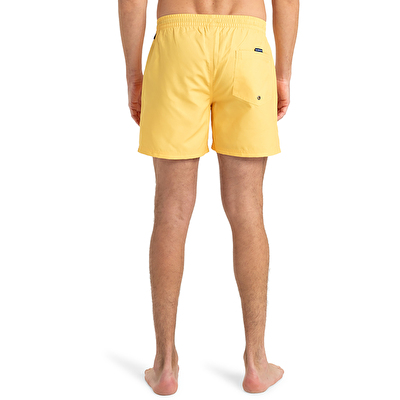 Quiksilver Everyday Solid Volley 15 Erkek Deniz Şortu