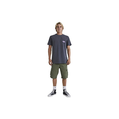 Quiksilver Crucial Battle Erkek Kargo Şort