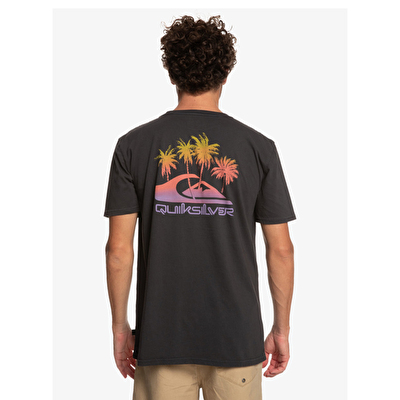 Quiksilver Pastimeparadise Erkek Kısa Kollu T-Shirt