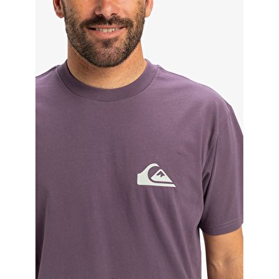 Quiksilver Ev Mini Logo Erkek Kısa Kollu T-Shirt