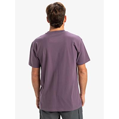 Quiksilver Ev Mini Logo Erkek Kısa Kollu T-Shirt