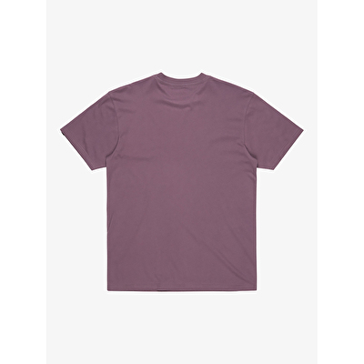 Quiksilver Ev Mini Logo Erkek Kısa Kollu T-Shirt