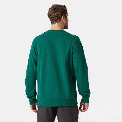 Helly Hansen HH Logo Crew 2.0 Erkek Sweatshirt
