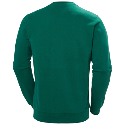 Helly Hansen HH Logo Crew 2.0 Erkek Sweatshirt
