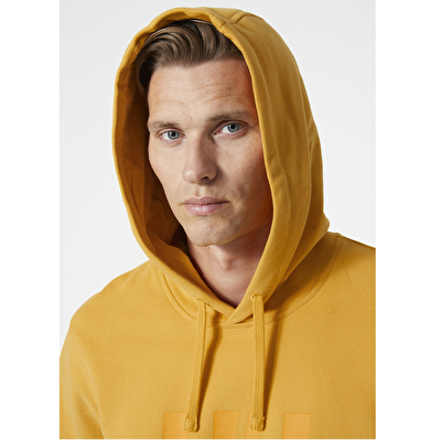 Hh Logo Hoodie Erkek Sweatshirt