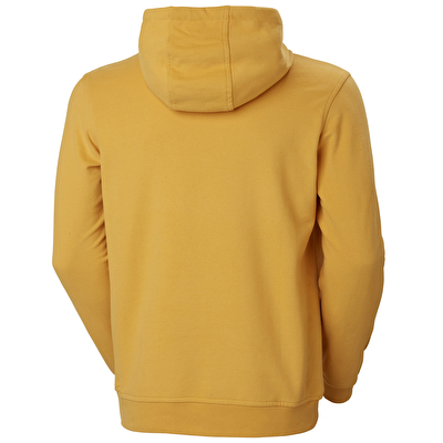 Hh Logo Hoodie Erkek Sweatshirt