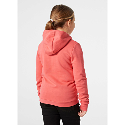 Helly Hansen Jr Helly Hansen Logo 2.0 Çocuk Kapüşonlu Sweatshirt