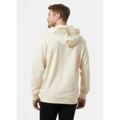 Helly Hansen Core Graphic Erkek Kapüşonlu Sweatshirt