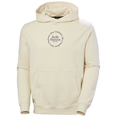 Helly Hansen Core Graphic Erkek Kapüşonlu Sweatshirt