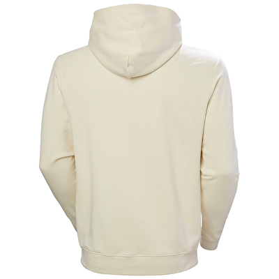 Helly Hansen Core Graphic Erkek Kapüşonlu Sweatshirt