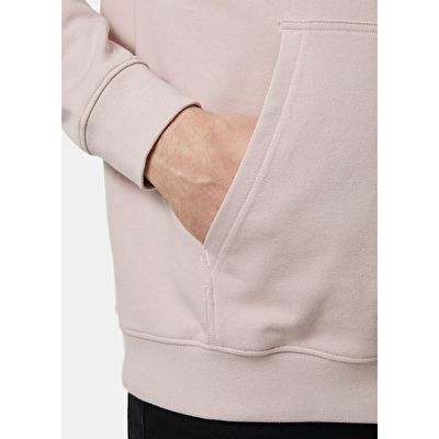 Helly Hansen Core Graphic Erkek Kapüşonlu Sweatshirt